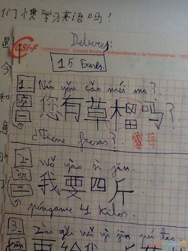 中国学生的作业vs外国