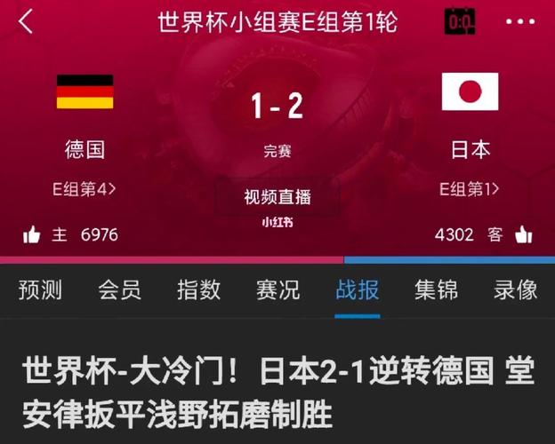 德国vs日本赛后中国解说