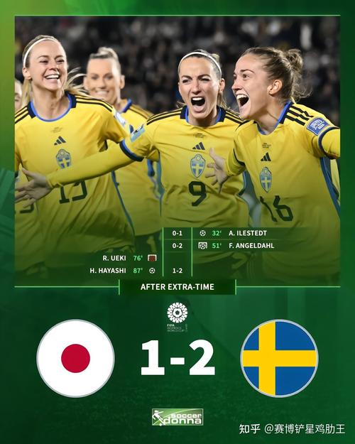 日本vs瑞典电视频道