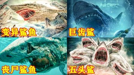 中国裂口鲨vs大鲨鲨谁厉害的相关图片