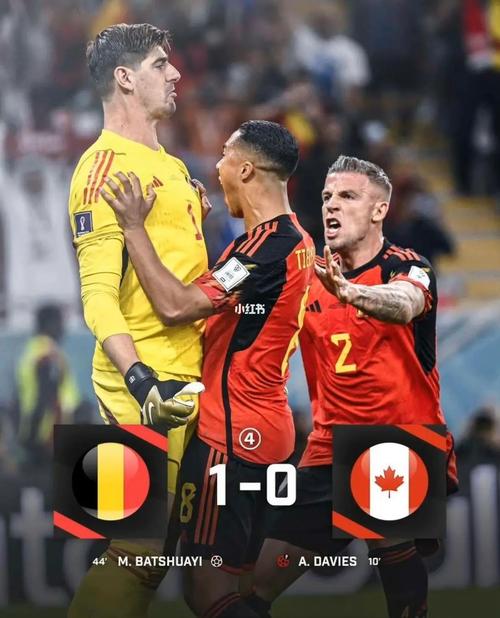 加拿大vs比利时胜率对比的相关图片