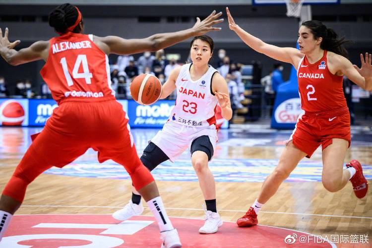 日本女篮vs纽西兰女篮的相关图片