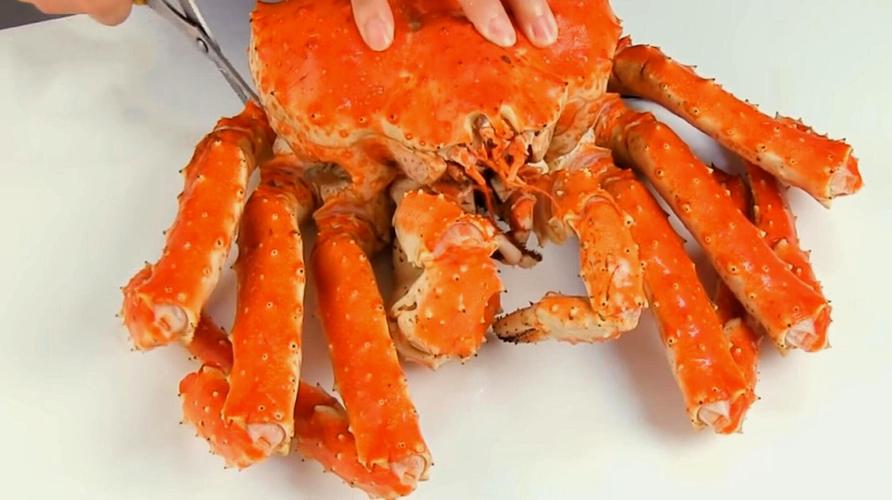 日本红帝王蟹vs花崎蟹的相关图片