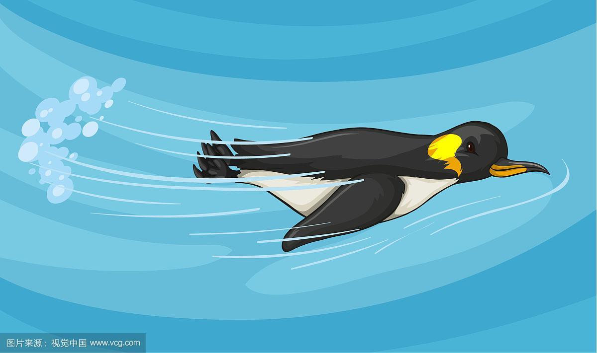 游泳世锦赛直播企鹅体育的相关图片