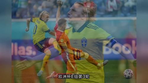 瑞典vs波兰动画直播的相关图片