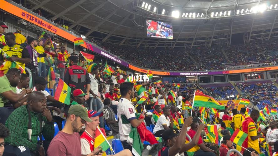 葡萄牙vs加纳开场幕的相关图片